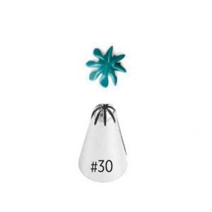 Pico Estrella Cerrada Nº 30 «Wilton»