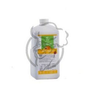 Smoothie Mango-Maracuya «Pehuenia» x2.25l