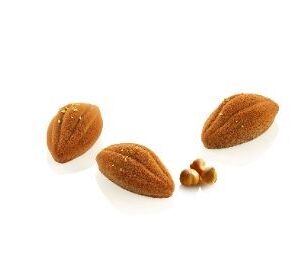 Molde Silicona Cacao XS 12 «Silikomart»