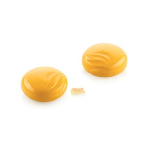 Molde Silicona Ocean 100 «Silikomart»